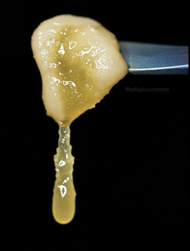 Leaf Logic - Daily Delight 1G