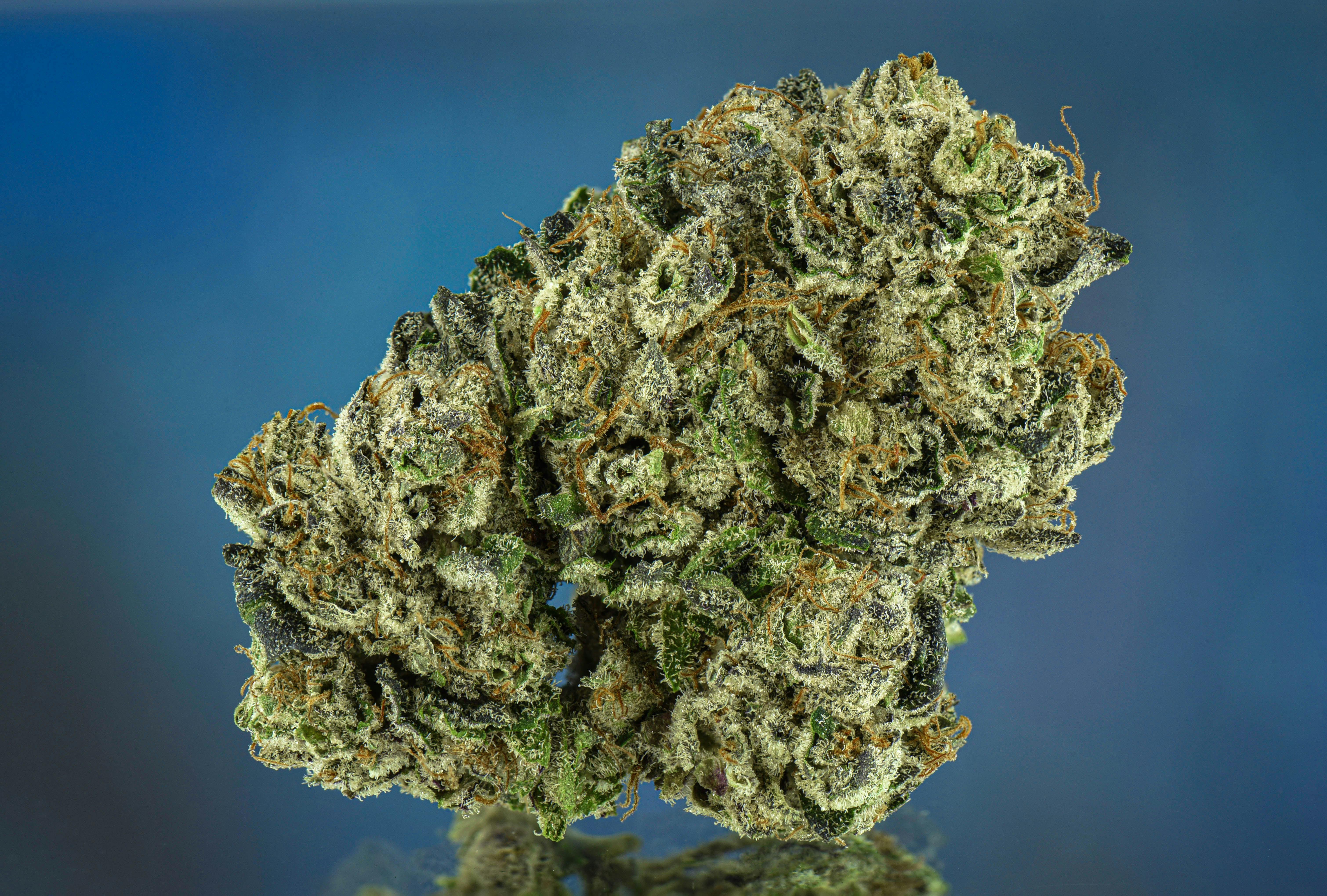 Flower - Blue Slushie 3.5G