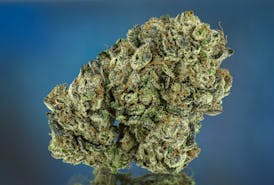 Flower - Blue Slushie 3.5G