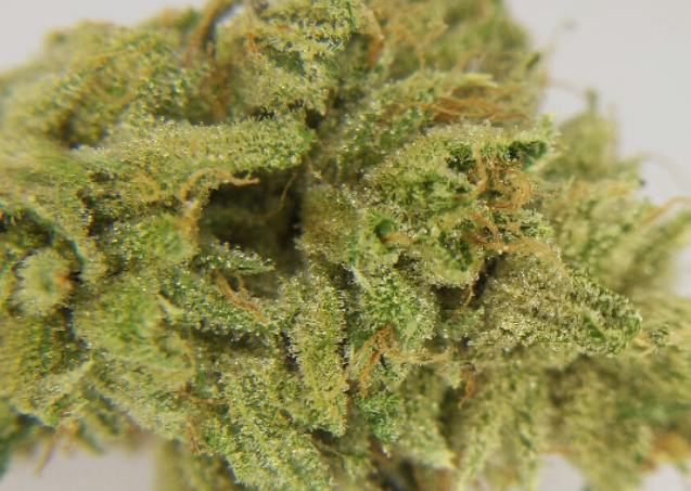 Flower - Garlic Cocktail 3.5G
