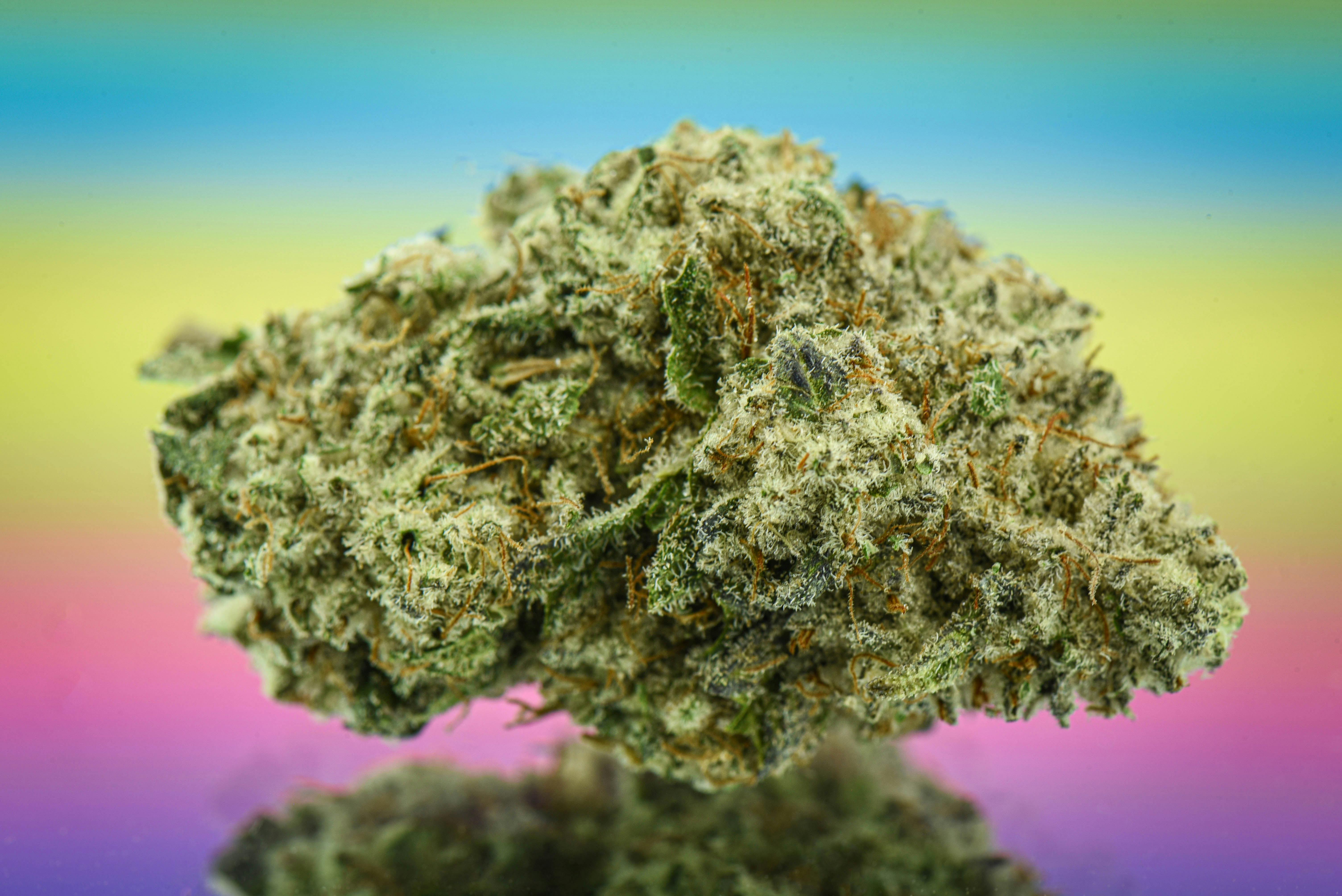 Flower - Lemon Meringue 3.5G