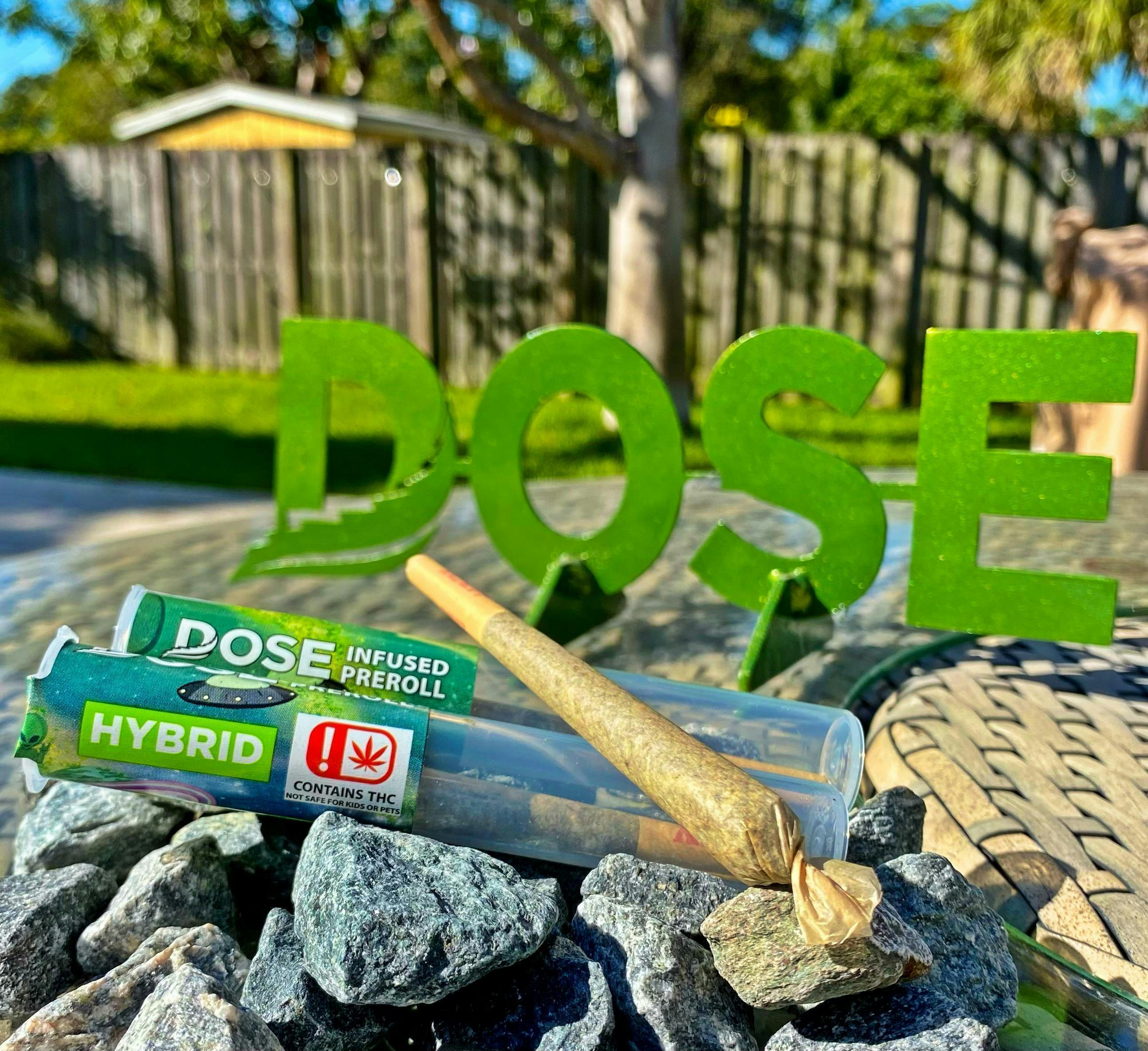 Dose Hybrid Infused Prerolls