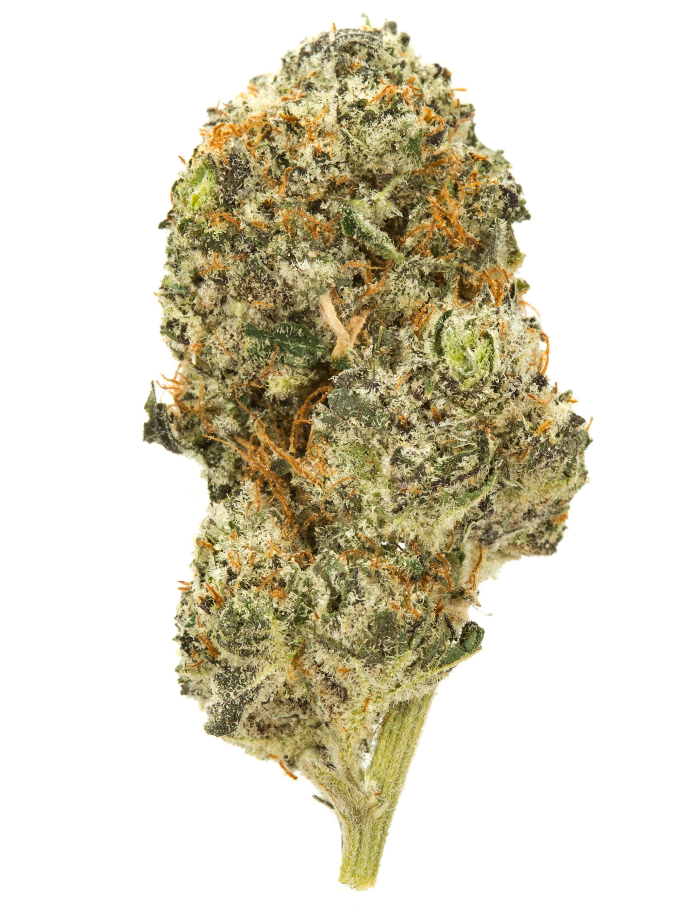 Flower - Burger Milk 3.5G