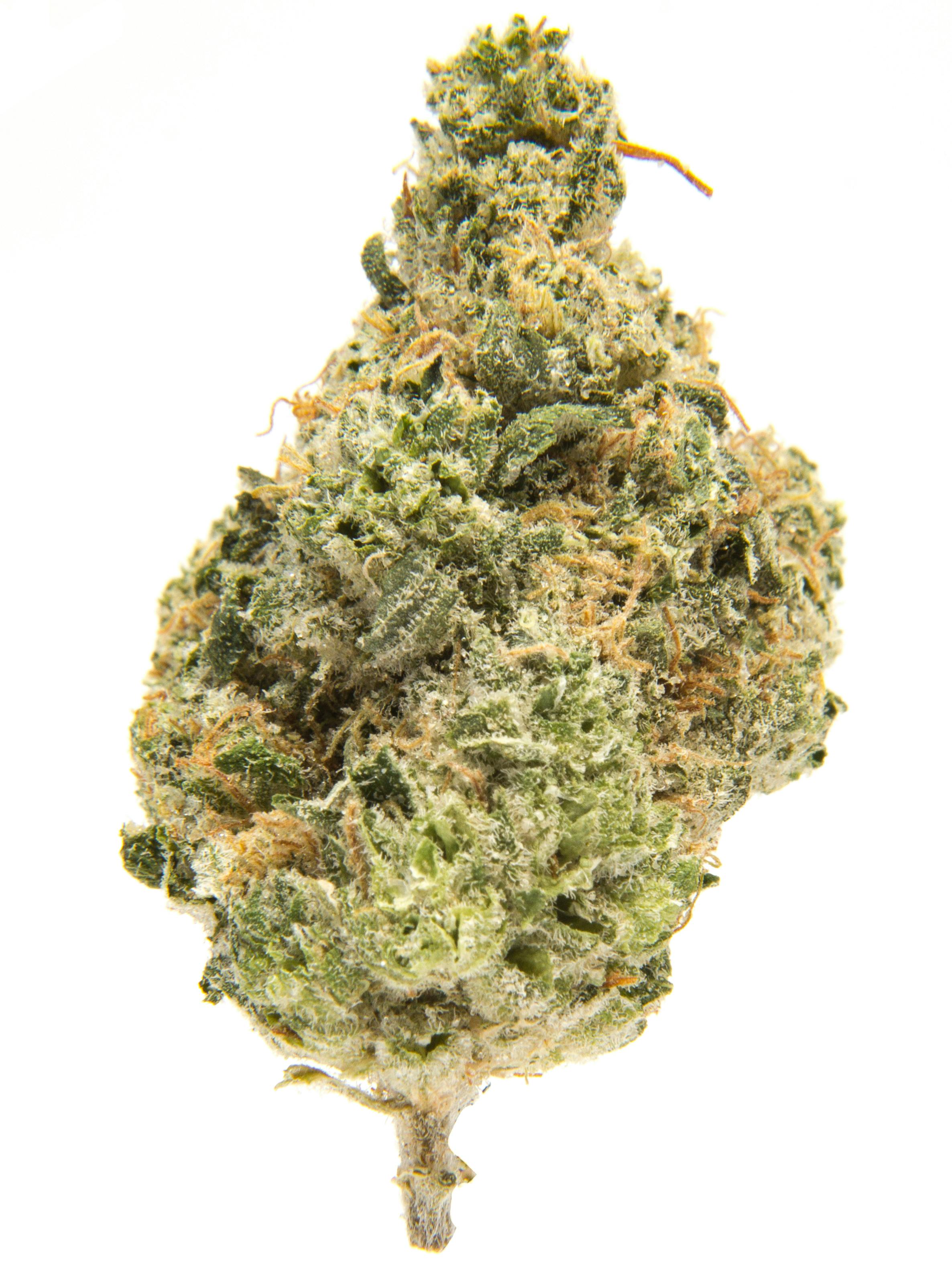 Flower - MAC 3.5G