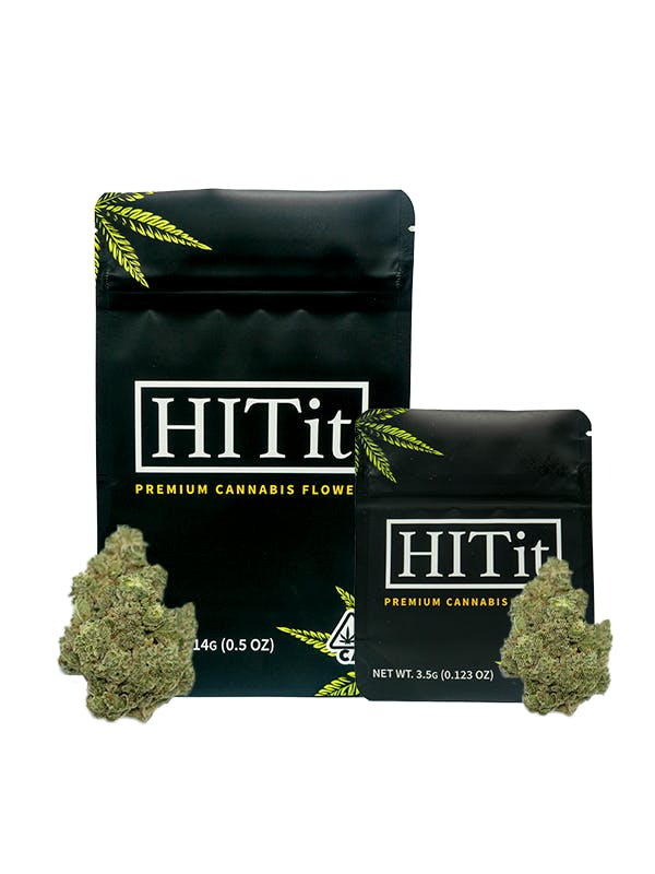 lemon cherry gelato — Lemon Cherry Gelato
