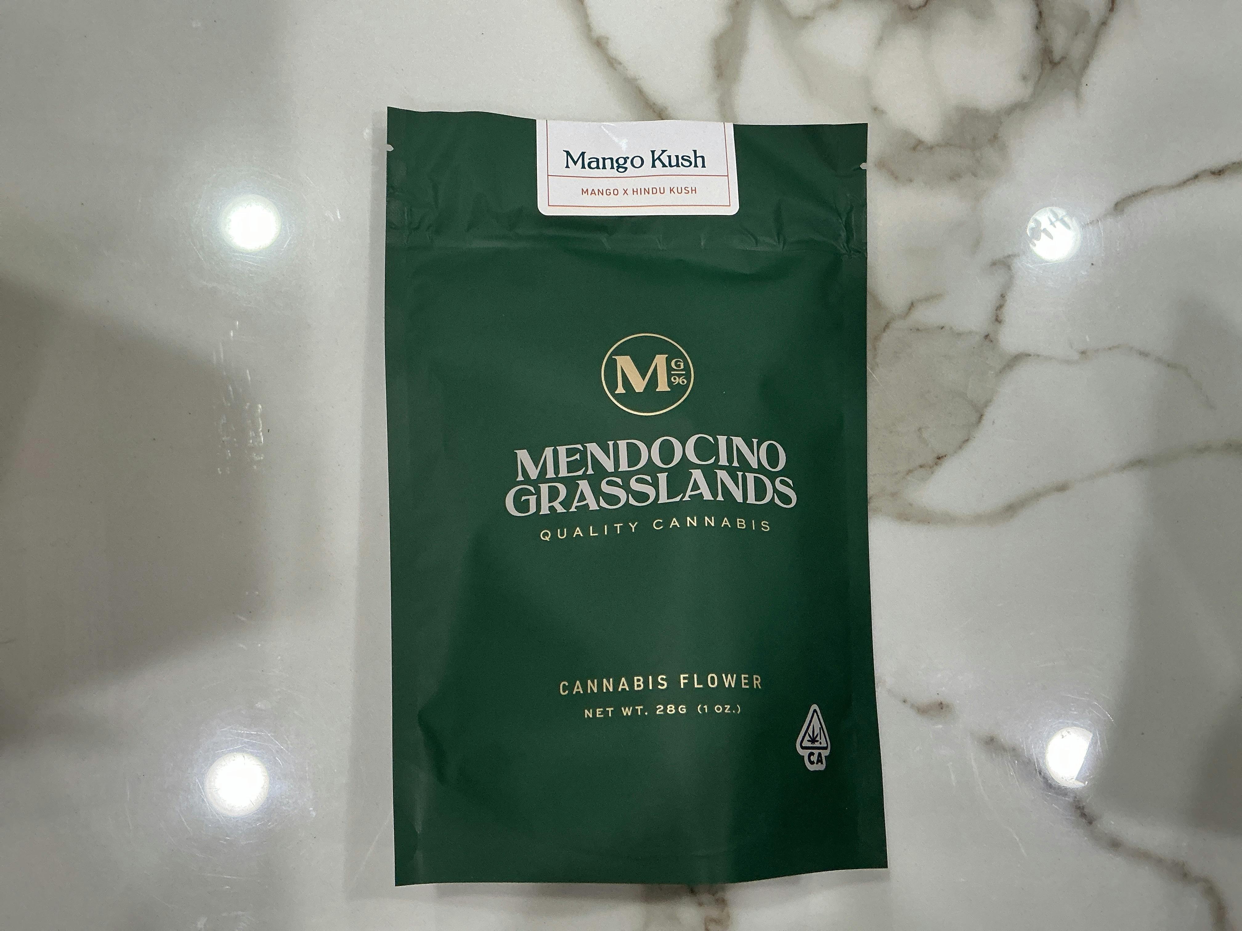 Mendocino grassland Mango — Mango Kush