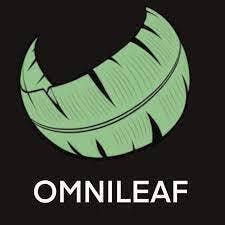 OmniLeaf 3000mg CBD Prime Rib Tincture for Dogs