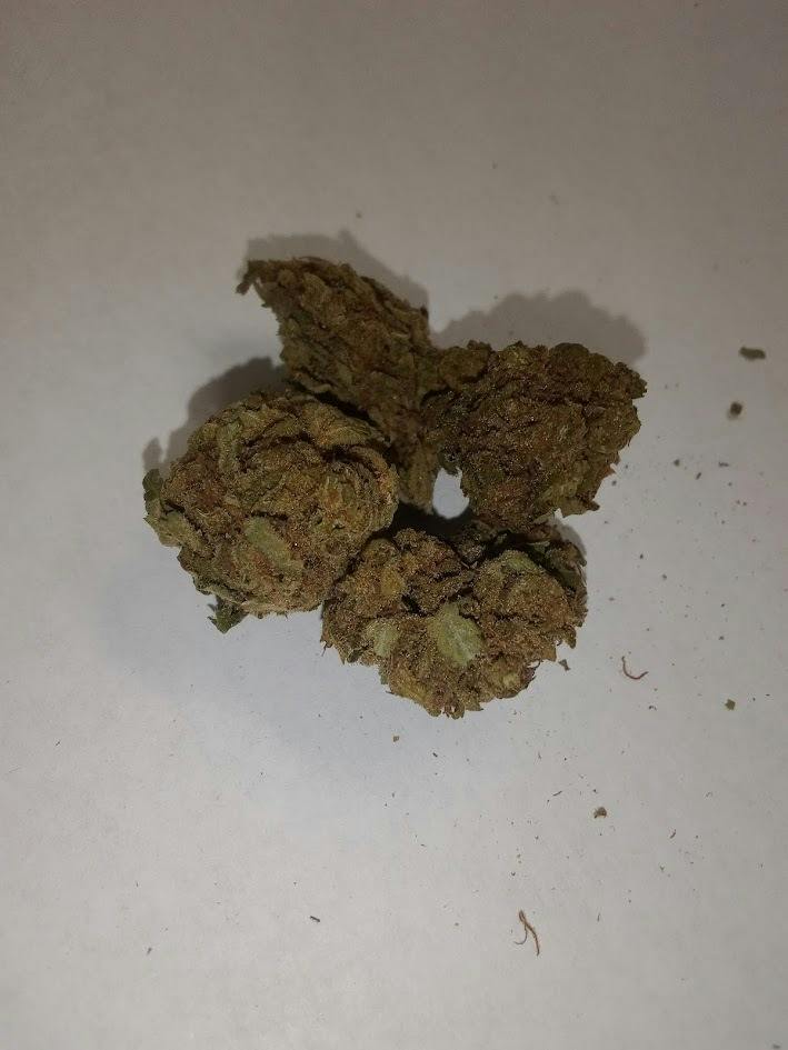 Grim Glue