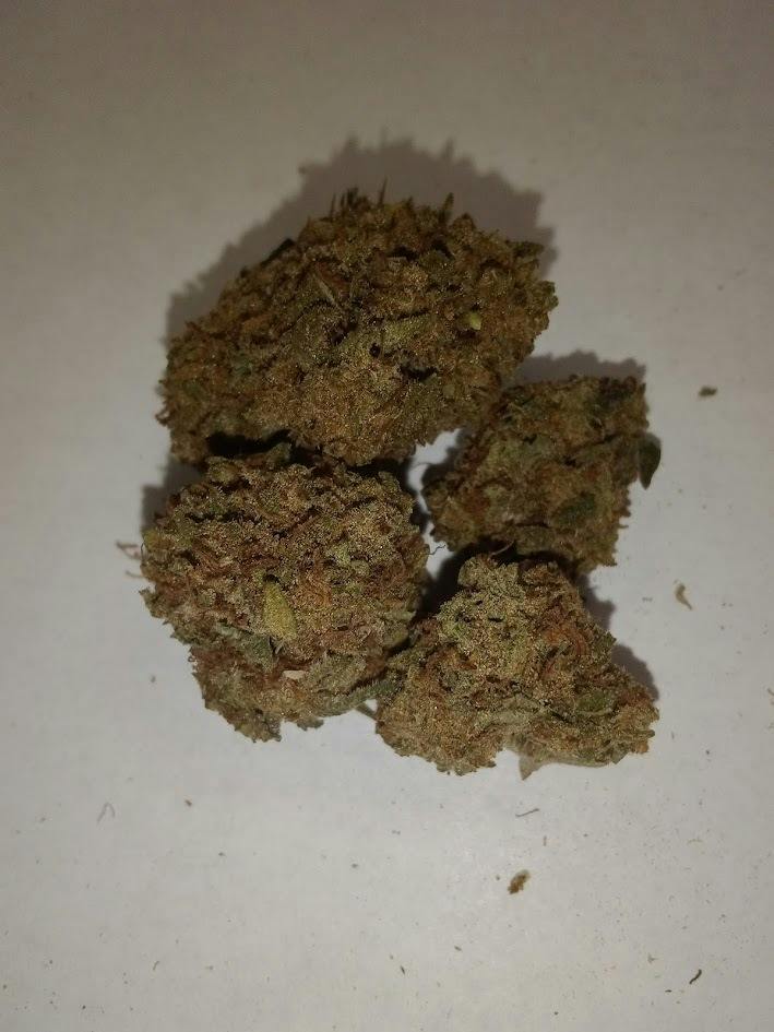 Mota Hari - Indica Dominant Hybrid