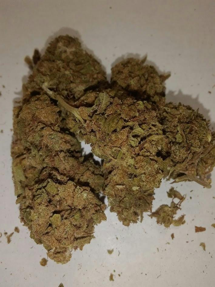 Durban Nights - Sativa