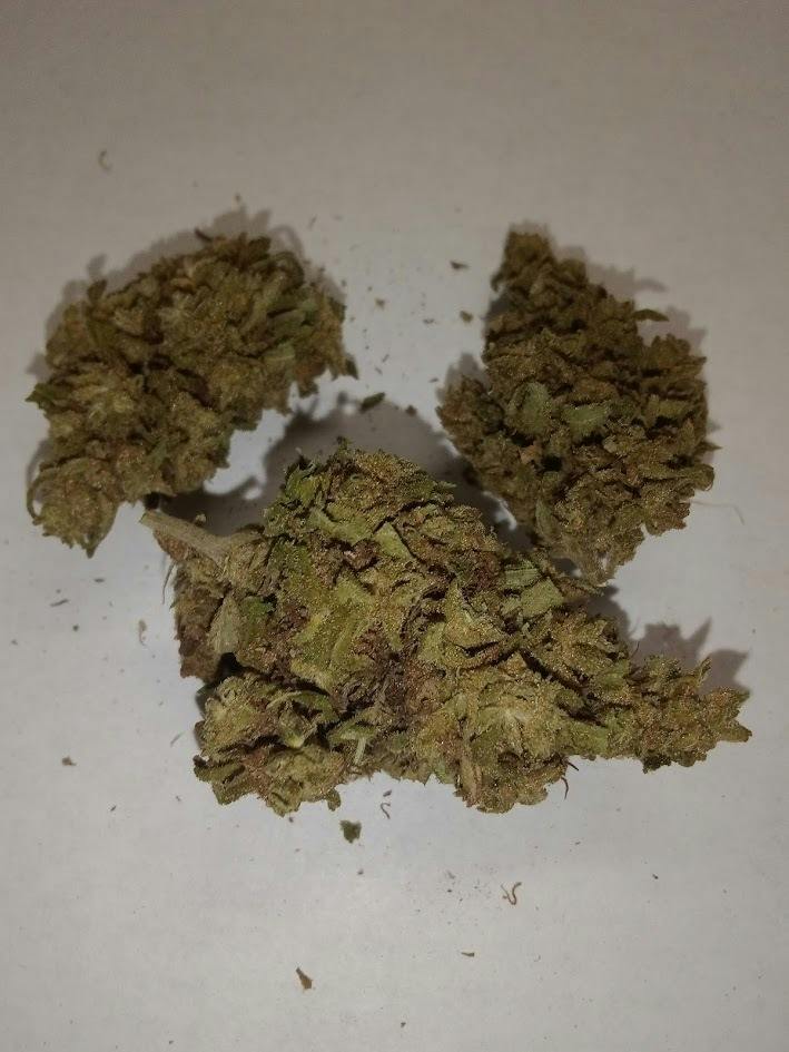 Durban Thai - Sativa