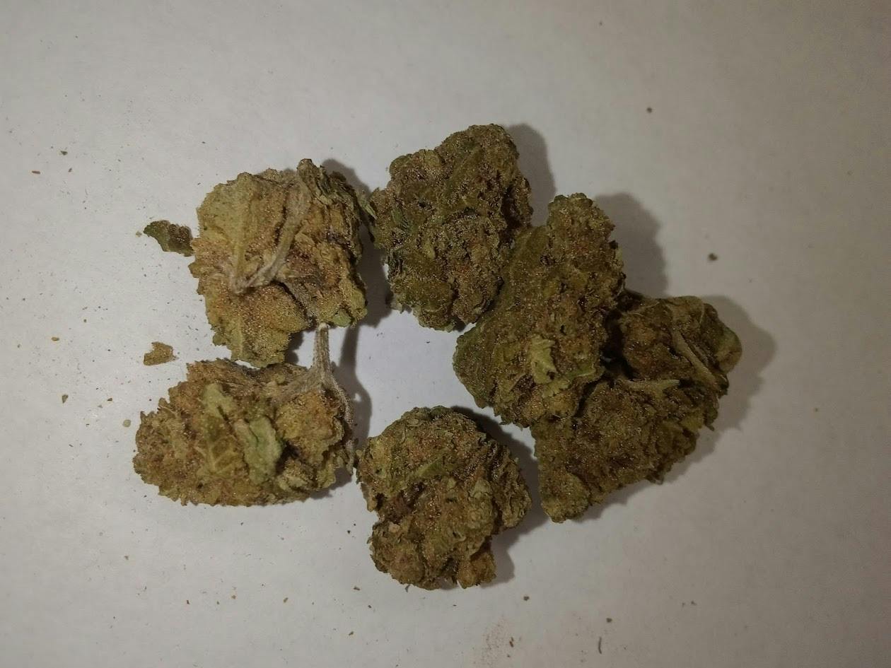 Princess Haze
