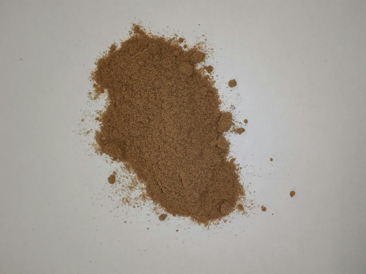 G13 Rossetta Stone