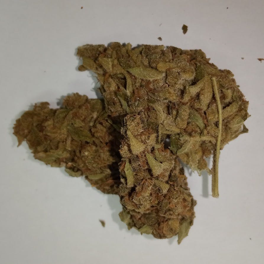 Tahoe Cookies
