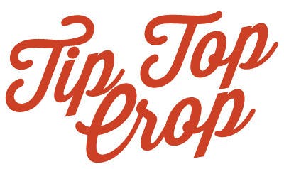Count Chunkula | Tip Top Crop