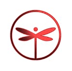 DRAGONFLY | ICC | 1.25G | LEMON CHERRY at Crave Cannabis