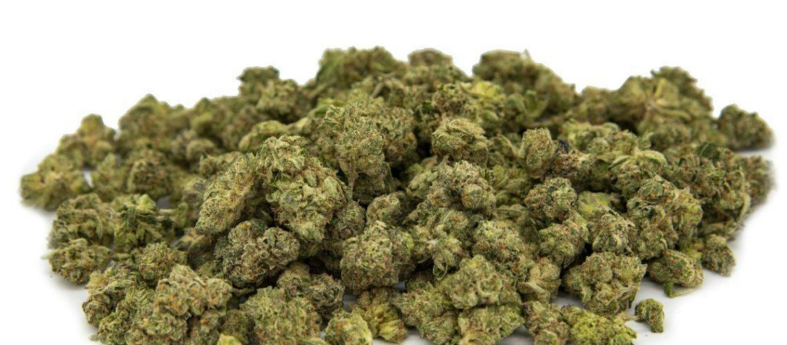 GREENSHIFT | BULK SMALLS | PINEAPPLE DONUT