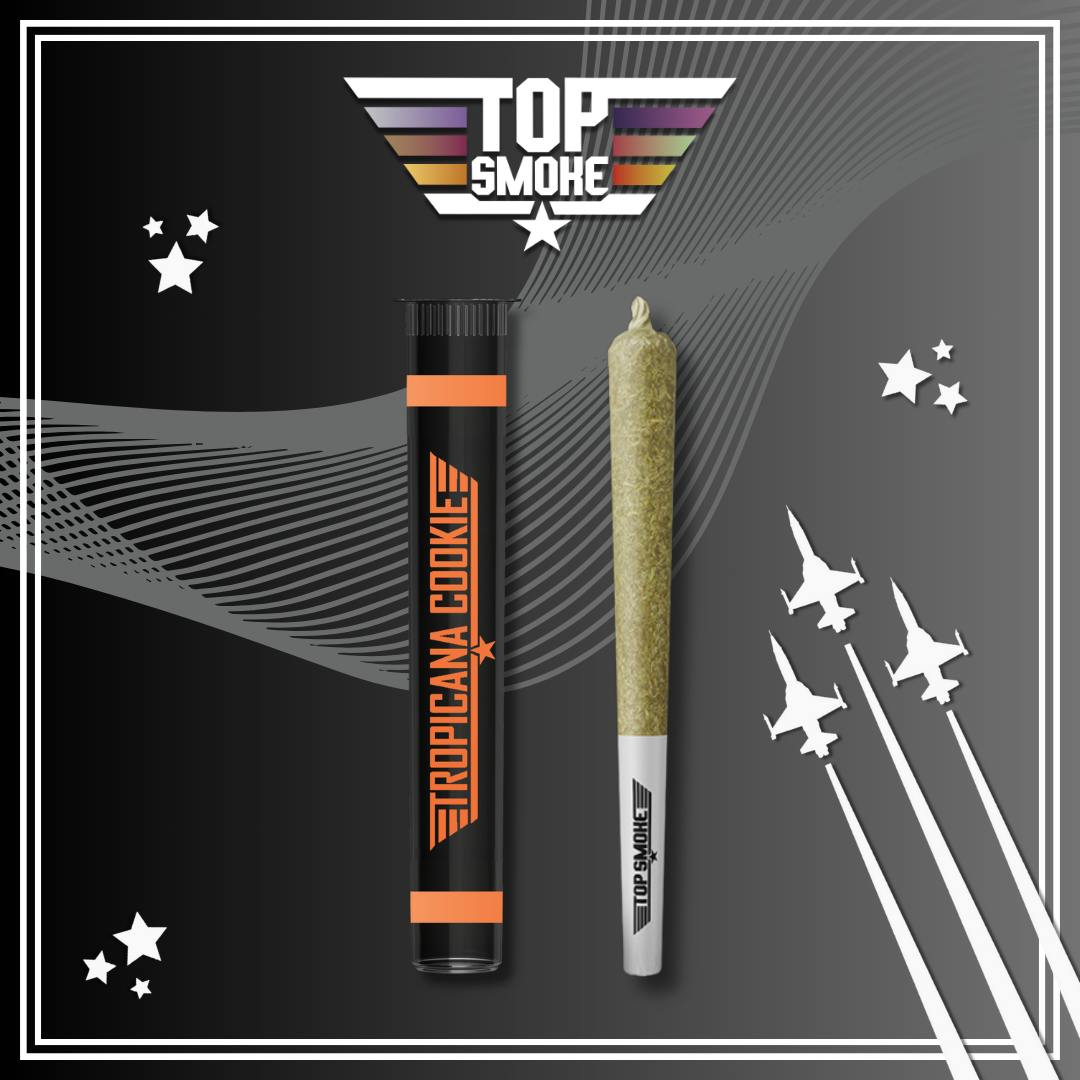 TOP SMOKE | ICC PREROLL | 1G | TROPICANA COOKIE