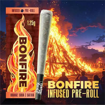 PARTY FAVORS BONFIRE | ICC | 1.25G | ORANGE SODA