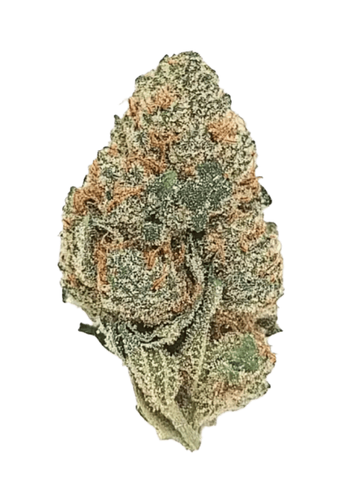 GRIP | BULK FLOWER | PAPAYA CAKE