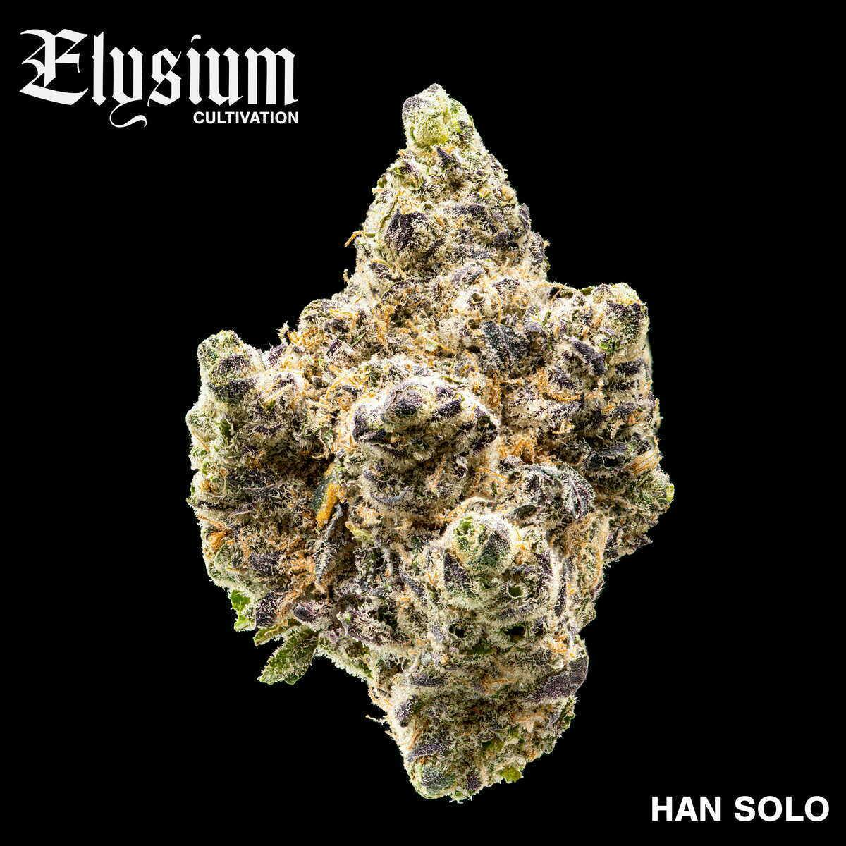 ELYSIUM | BULK FLOWER | HAN SOLO BURGER