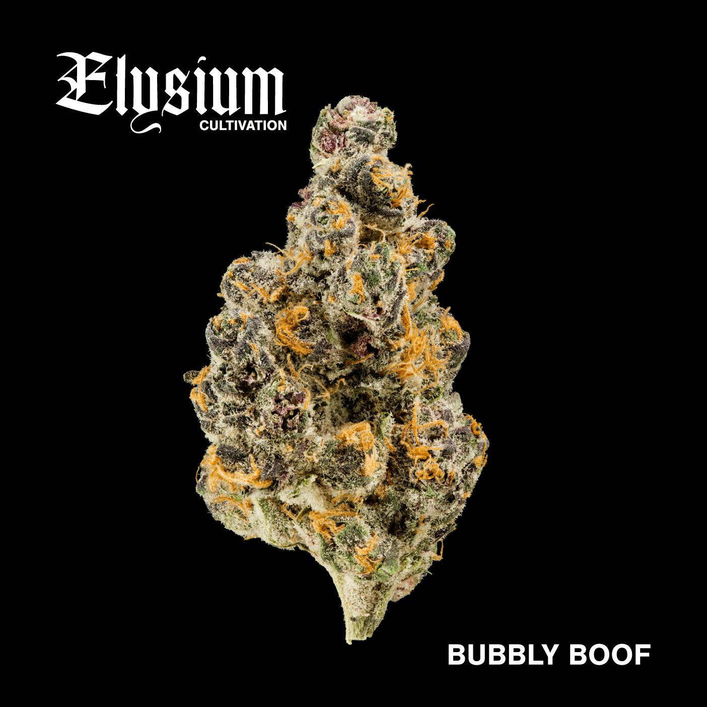 ELYSIUM | BULK FLOWER | BUBBLY BOOF