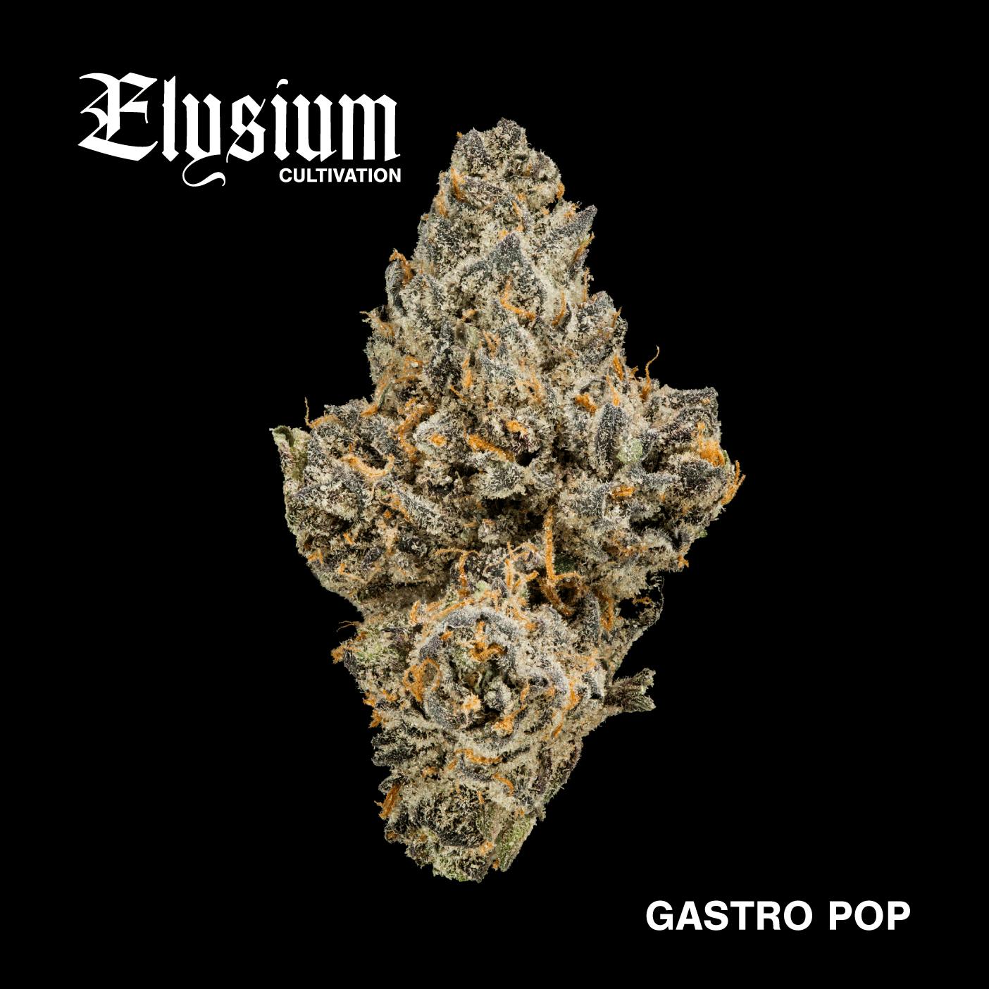 ELYSIUM | BULK FLOWER | GASTRO POP