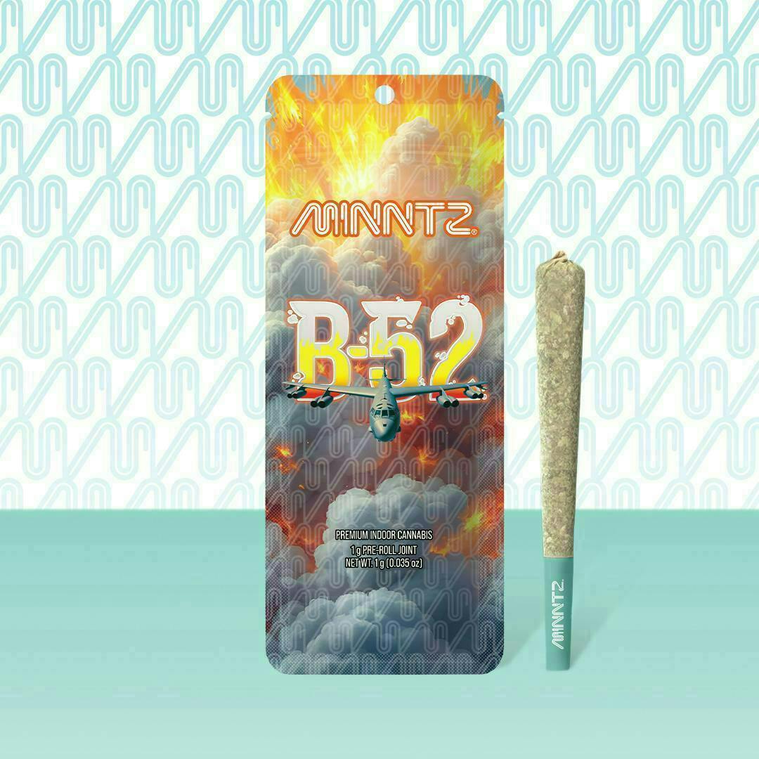 MINNTZ | PRE-ROLL | 1G | B-52