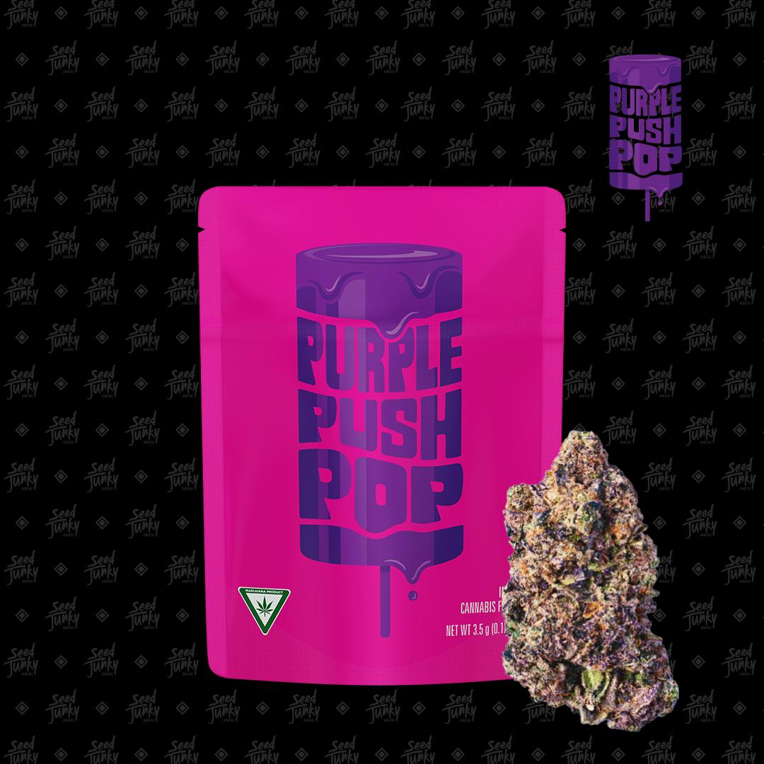 Purple Push Pop | Buds