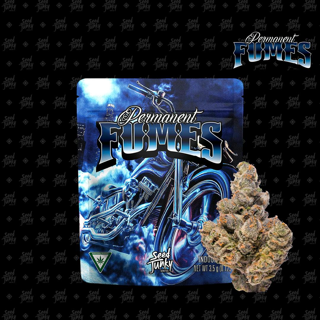 Permanent Fumes | Buds | 3.5g