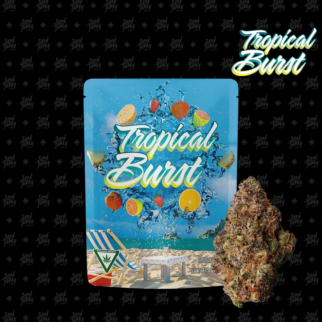 SEED JUNKY | PREPACK | 3.5G | TROPICAL BURST