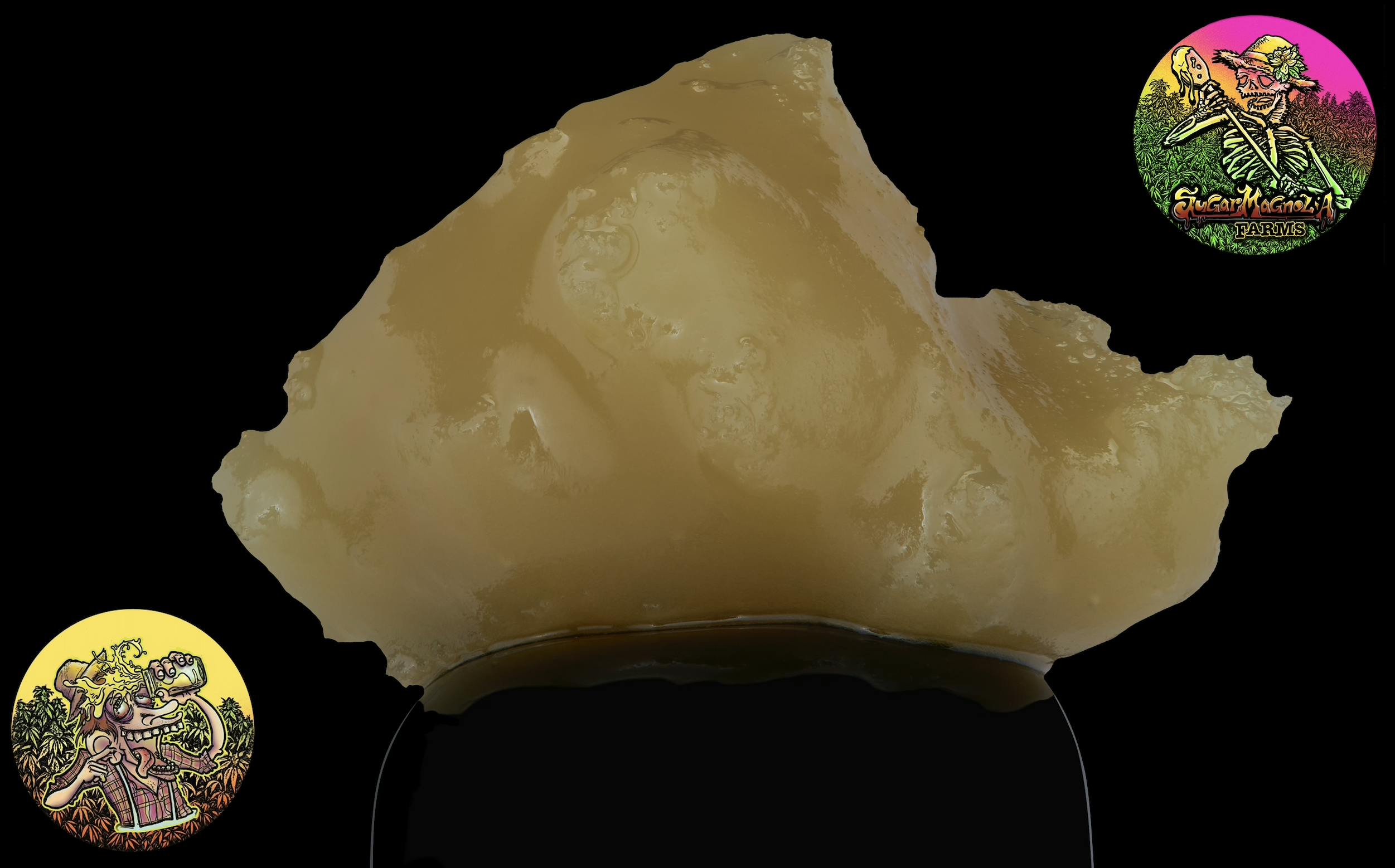 Sugar Magnolia Farms 1g Live Rosin - Honey Bee