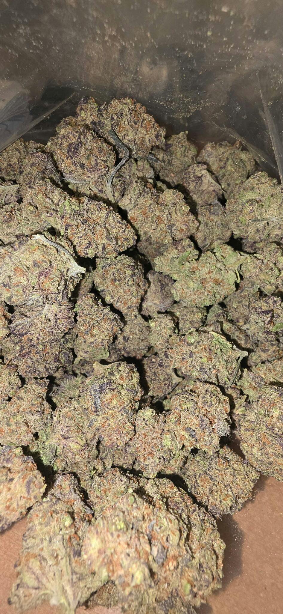 Hybrid - Sativa Flower
