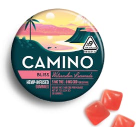 Camino | Watermelon Lemonade- 100mg