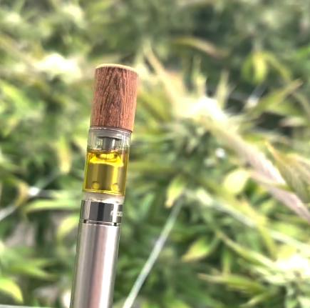 O' Cheese | Cartridge | 1g
