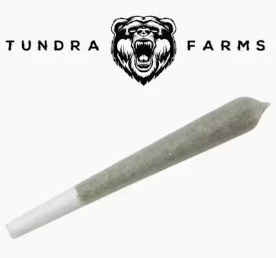 SHZ Pre-Roll by Tundra Farms