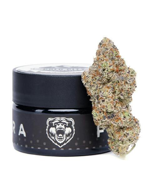 Gorilla Glue Bud