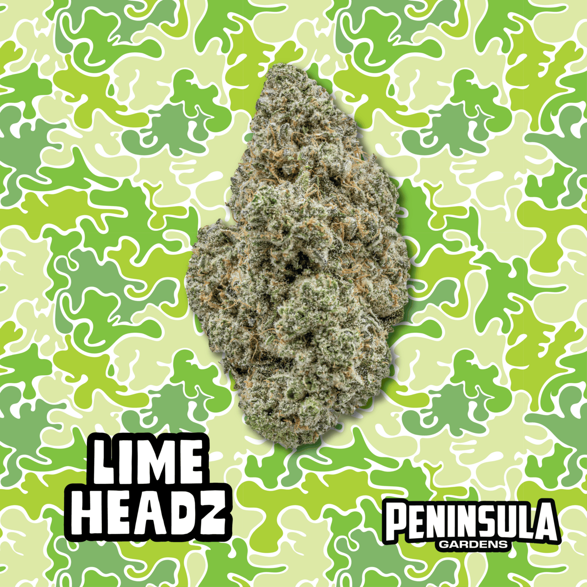Peninsula Gardens - Lime Headz