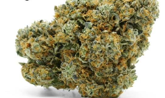 Common Citizen - Animal Sorbet Kushmints
