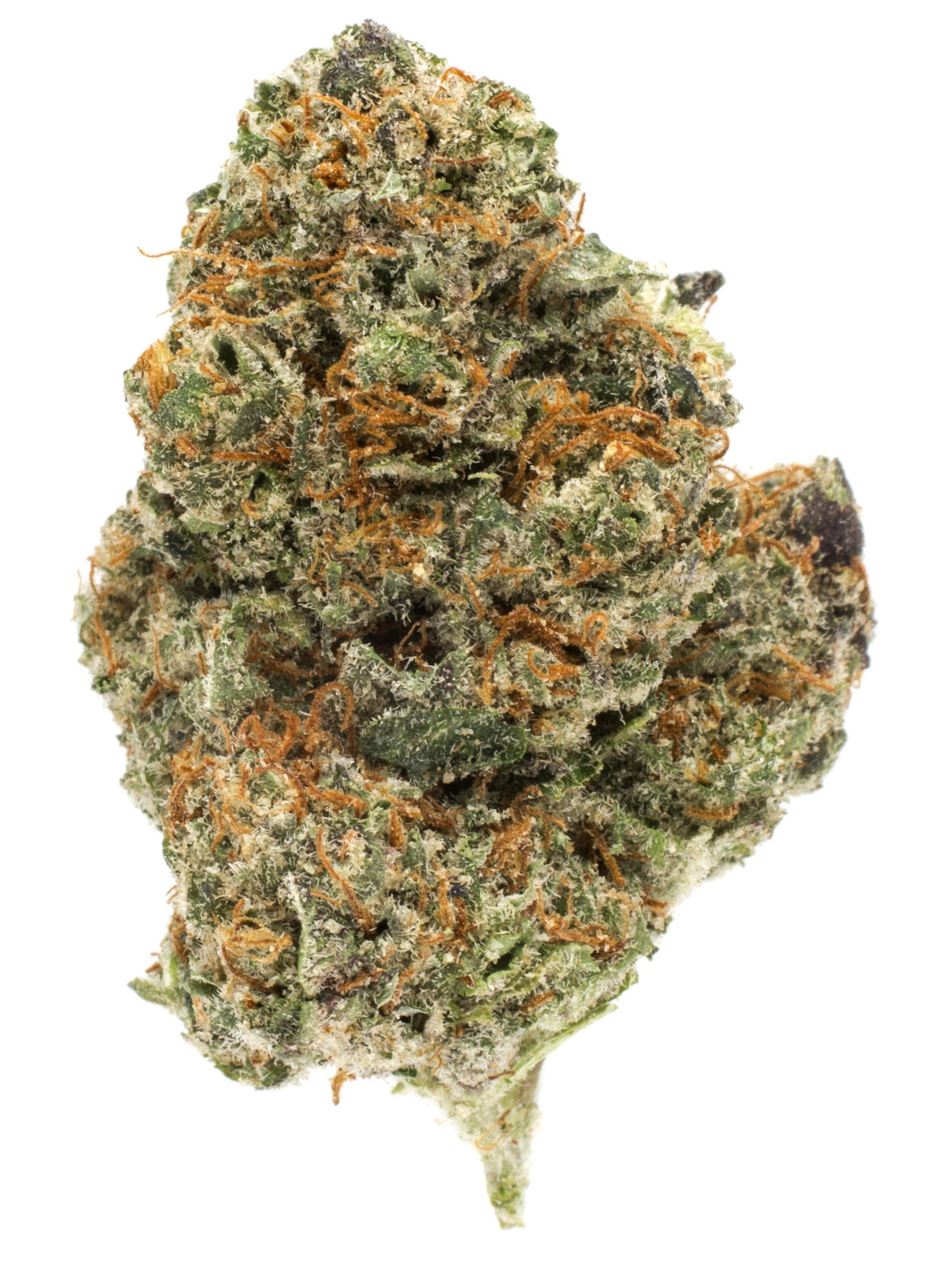 Banana Hammock at Colfax Cannabis Company