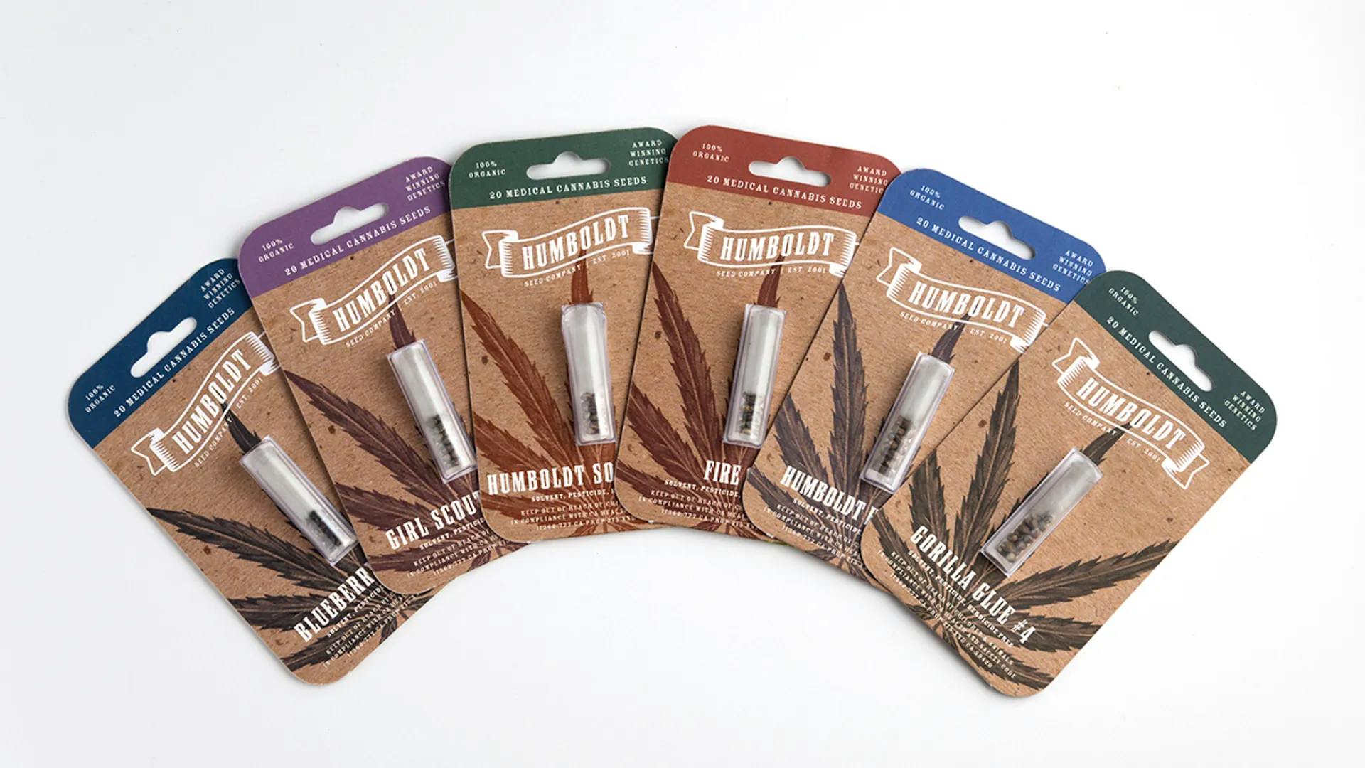 Hella Jelly Feminized Seeds