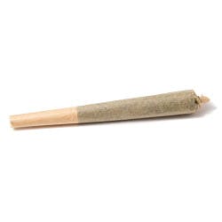 Gelato Punch 1g preroll at Colfax Cannabis Company