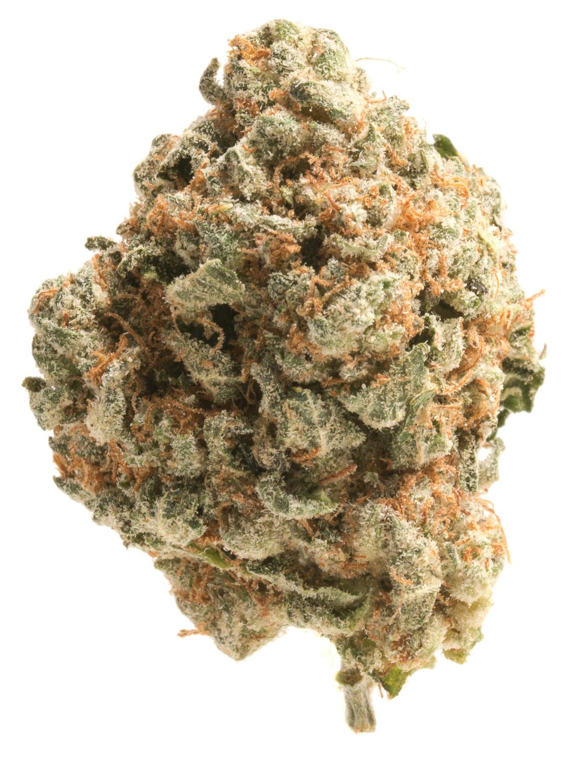 Mandarin Cookies at Colfax Cannabis Company