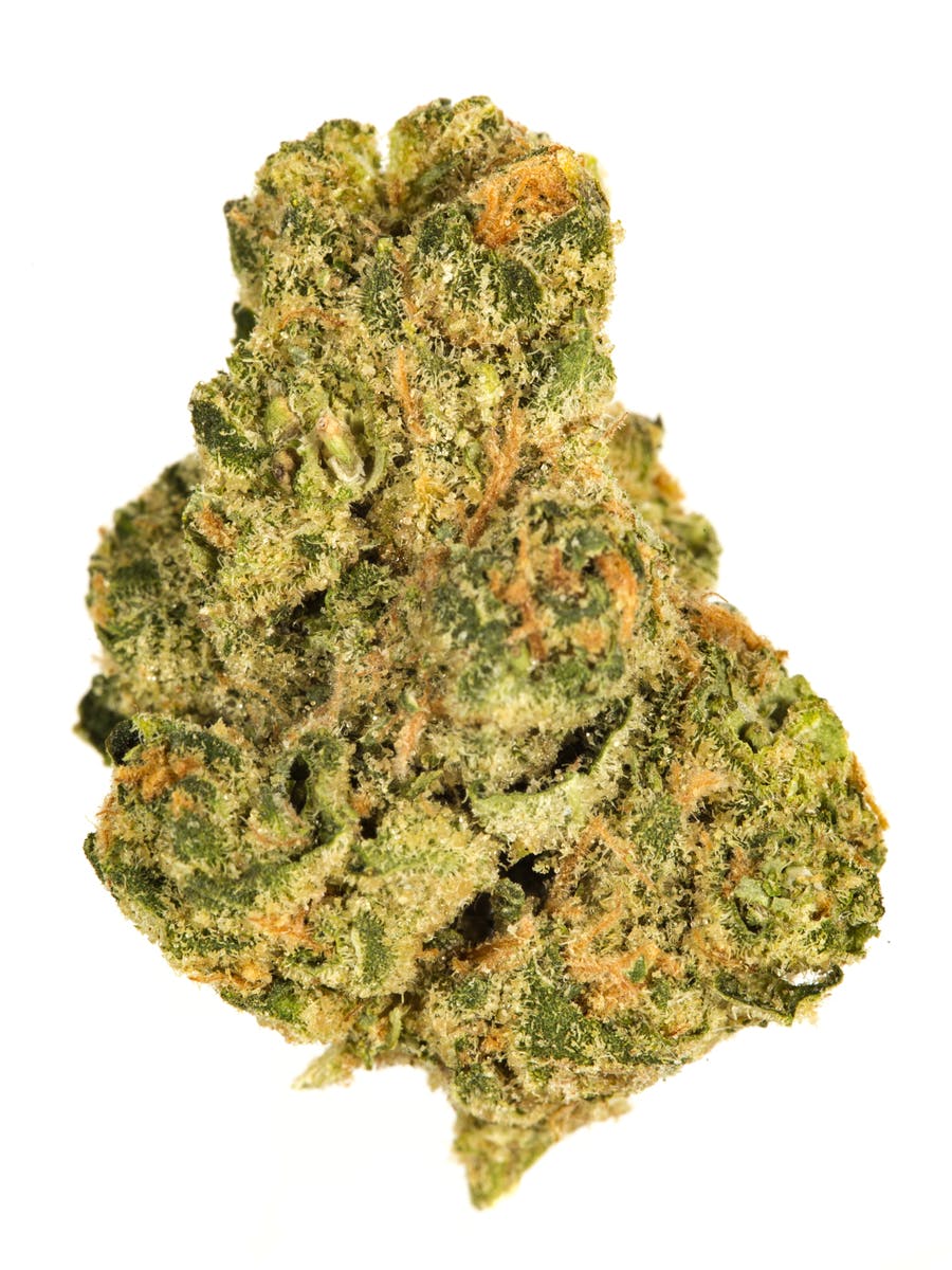 Apricot Scone at Colfax Cannabis Company