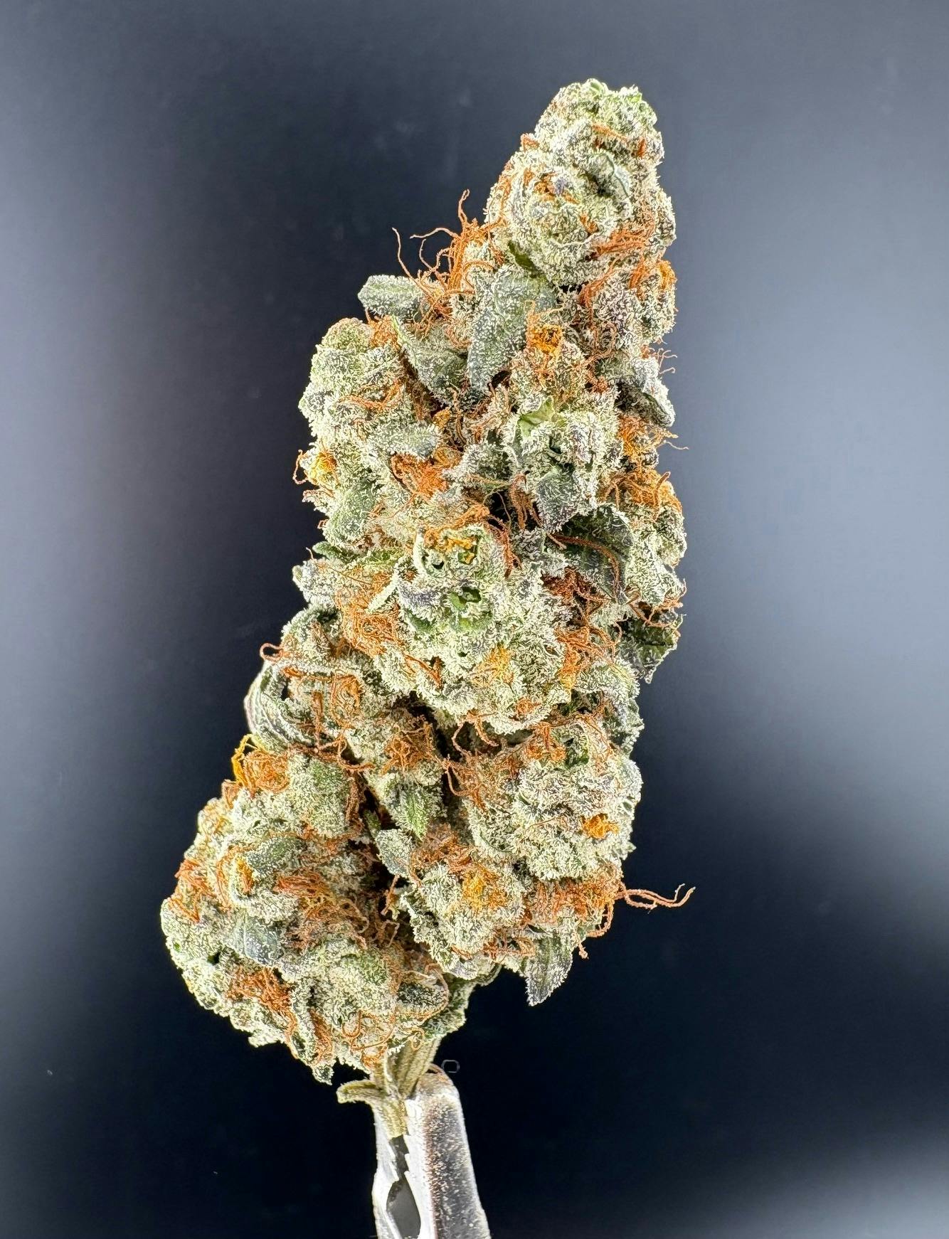 Funk MTN at Colfax Cannabis Company