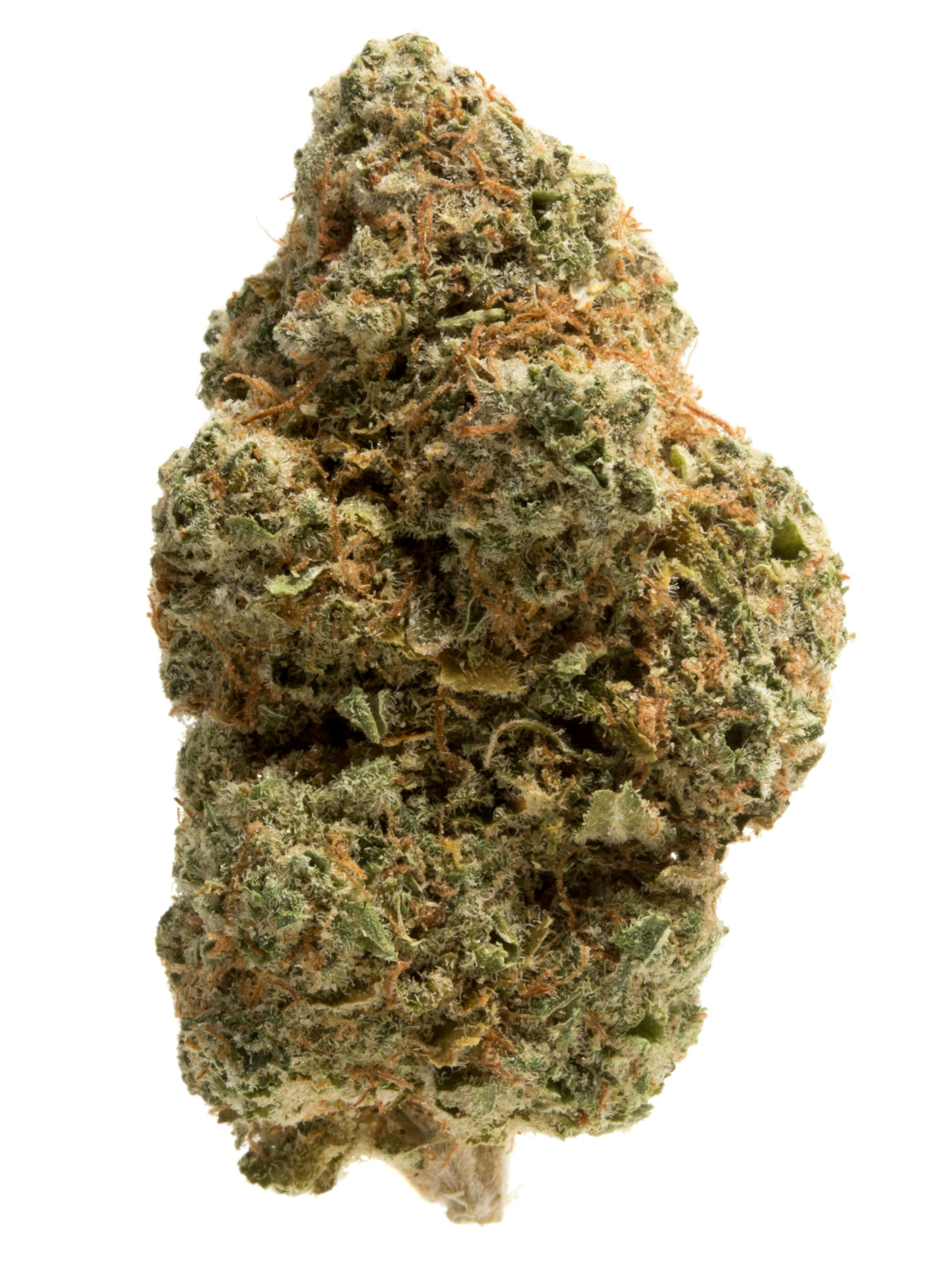 Banana Clips at Colfax Cannabis Company