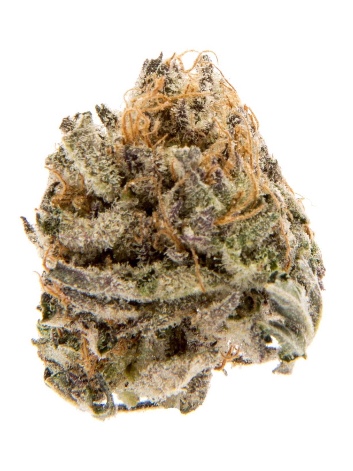 Cream Cheese OG at Colfax Cannabis Company