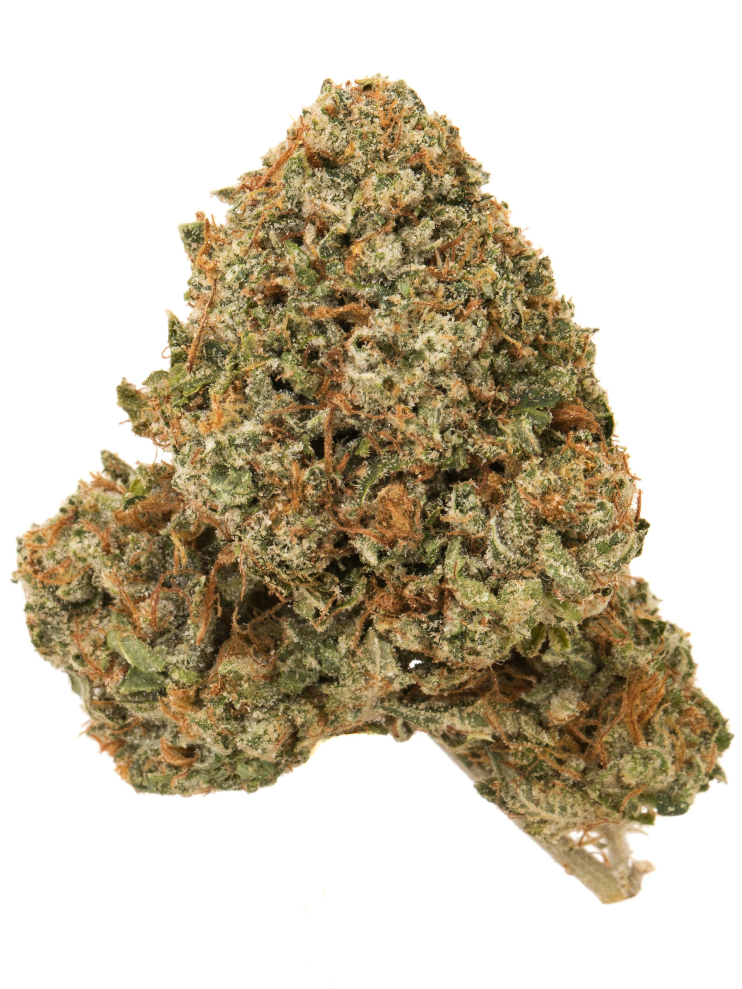 Mad Dog at Colfax Cannabis Company