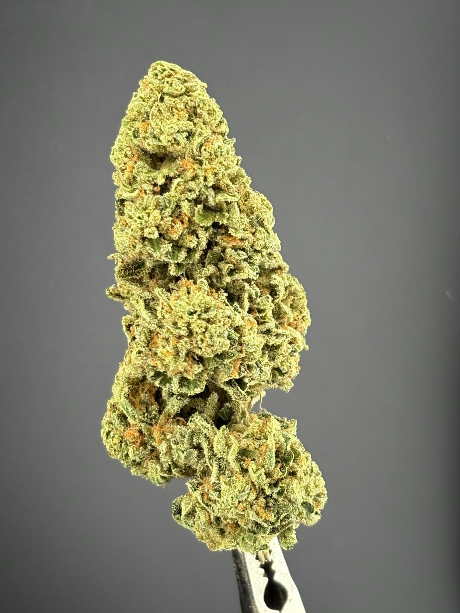Jam Sandwich (outdoor) at Colfax Cannabis Company