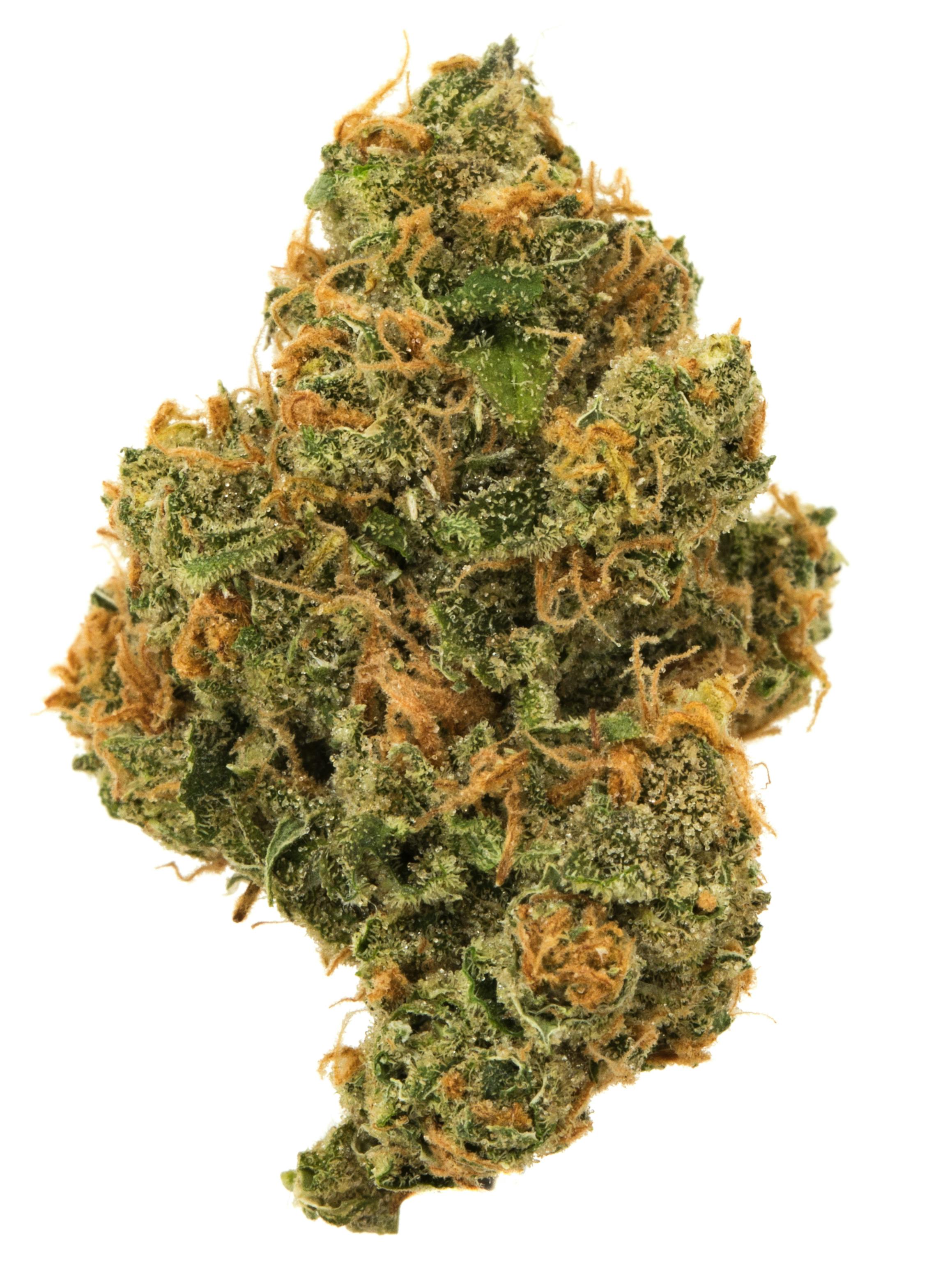 Super Lemon Haze at Colfax Cannabis Company